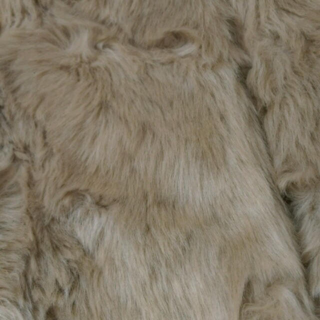 MURUA(ムルーア)のMURUA ファーコート レディースのジャケット/アウター(毛皮/ファーコート)の商品写真
