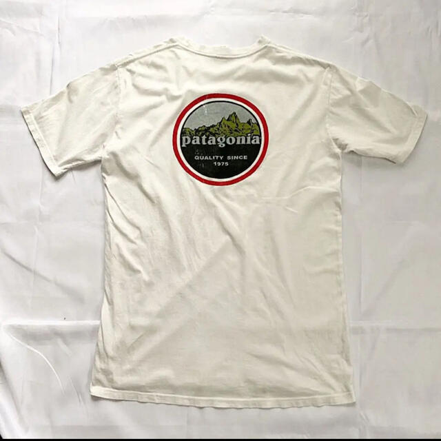 【patagonia】Beneficial T's Lサイズ レアプリント