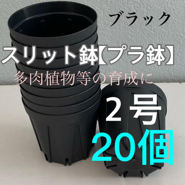 スリット鉢2号　直径6センチ❗️20個❗️ ハンドメイドのフラワー/ガーデン(プランター)の商品写真