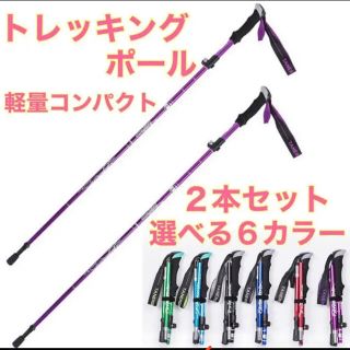 2本セット　紫　新品　登山　ウォーキング　軽量　トレッキングポール　ステッキ　杖(登山用品)