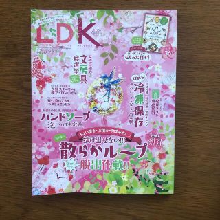 LDK (エル・ディー・ケー) 2021年 04月号(生活/健康)