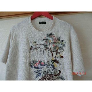 ザラ(ZARA)の美品週末大幅値下げ美品ZARAニットＴシャツ(Tシャツ/カットソー(半袖/袖なし))