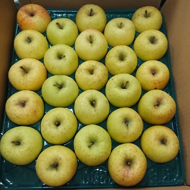 減農薬栽培りんご 星の金貨(わけあり家庭用)約5kg 食品/飲料/酒の食品(フルーツ)の商品写真