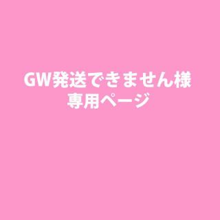 【GW発送できません】様専用ページ(その他)