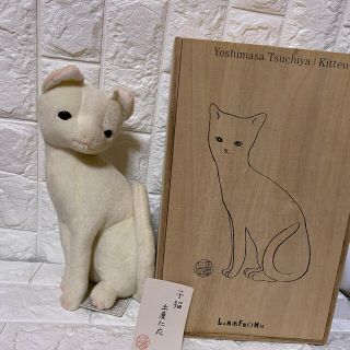 土屋　仁応　ぬいぐるみ　子猫　桐箱入り(ぬいぐるみ/人形)