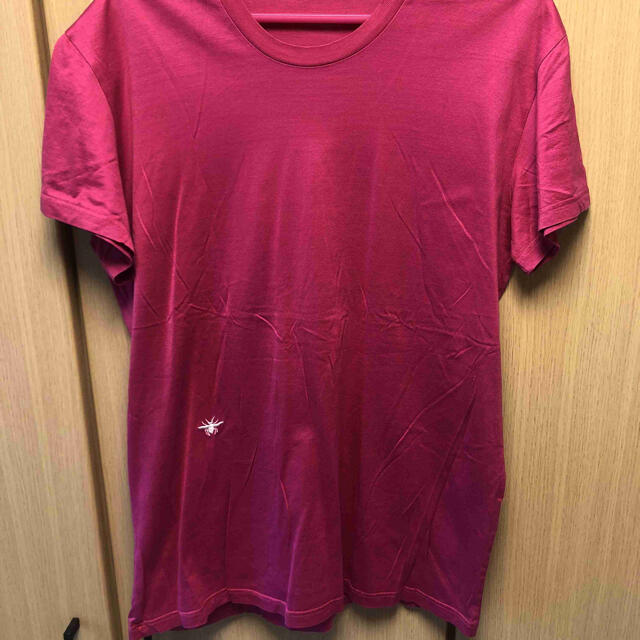 DIOR HOMME(ディオールオム)の正規 Dior Homme ディオールオム BEE 蜂 Tシャツ メンズのトップス(Tシャツ/カットソー(半袖/袖なし))の商品写真