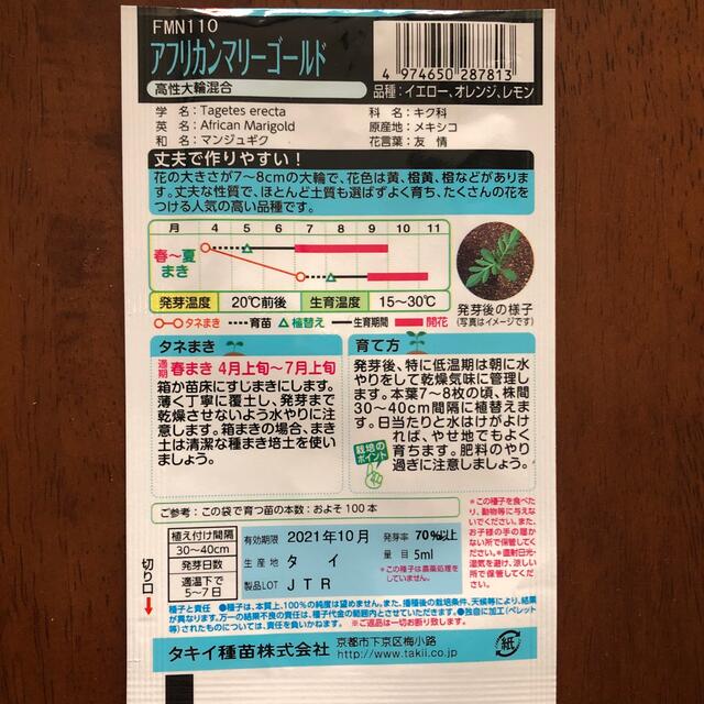 匿名◆マリーゴールド  タキイ  種 アスター モスの日 未開封 タネ ハンドメイドのフラワー/ガーデン(その他)の商品写真