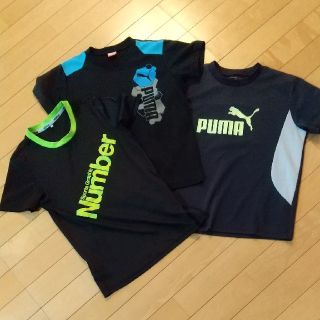 プーマ(PUMA)のTシャツ3枚セット 140  150(Tシャツ/カットソー)