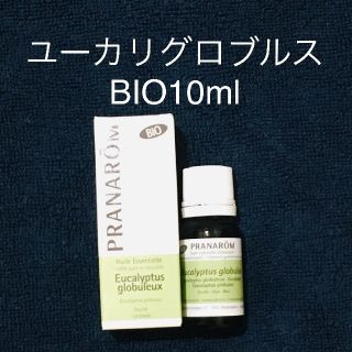 プラナロム(PRANAROM)のプラナロム　ユーカリグロブルスBIO10ml(エッセンシャルオイル（精油）)