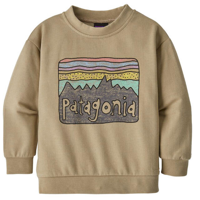 patagonia(パタゴニア)のPatagonia パタゴニア ベビー ライトウェイト クルー スウェット キッズ/ベビー/マタニティのキッズ服男の子用(90cm~)(Tシャツ/カットソー)の商品写真