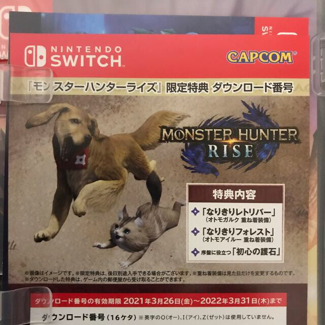 モンスターハンターライズ Switch エンタメ/ホビーのゲームソフト/ゲーム機本体(家庭用ゲームソフト)の商品写真