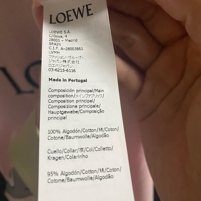 LOEWE(ロエベ)のロエベ　トトロ　コラボTシャツ メンズのトップス(Tシャツ/カットソー(半袖/袖なし))の商品写真