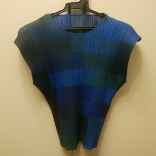 プリーツプリーズイッセイミヤケ(PLEATS PLEASE ISSEY MIYAKE)のイッセイミヤケ　PLEATS PLEASE(カットソー(半袖/袖なし))