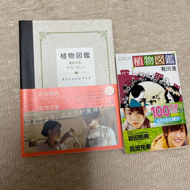 小説とオフィシャルブックのセット エンタメ/ホビーの本(アート/エンタメ)の商品写真