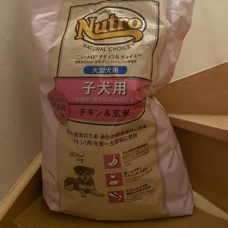 ニュートロジーナ(Neutrogena)のニュートロ　子犬用　1kg(ペットフード)