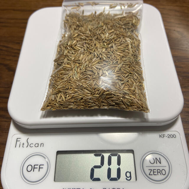 【説明書つき】高級芝生の種700g（耐暑性あり！冬でも青い西洋芝生 ハンドメイドのフラワー/ガーデン(その他)の商品写真