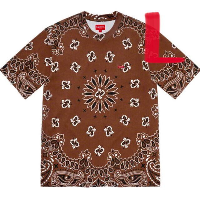 Supreme(シュプリーム)のsupreme Small Box Tee Brown Bandana L メンズのトップス(Tシャツ/カットソー(半袖/袖なし))の商品写真