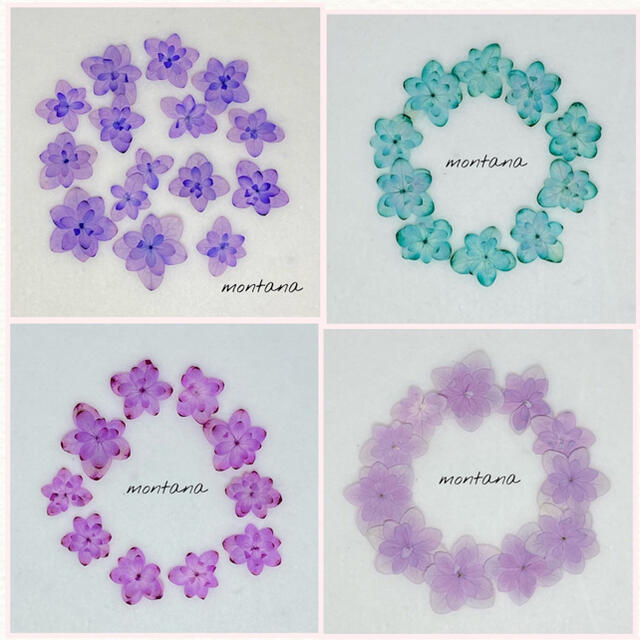 紫陽花　テマリテマリ　各4色　押し花素材 ハンドメイドの素材/材料(各種パーツ)の商品写真