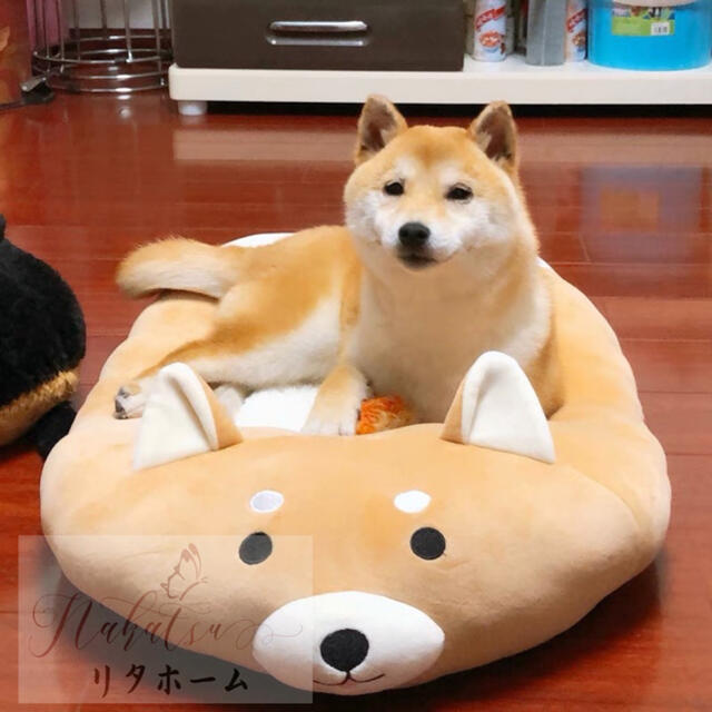 ペットハウス ペットベッド 犬猫用クッション 犬用ベッド 猫寝床 - cabager.com