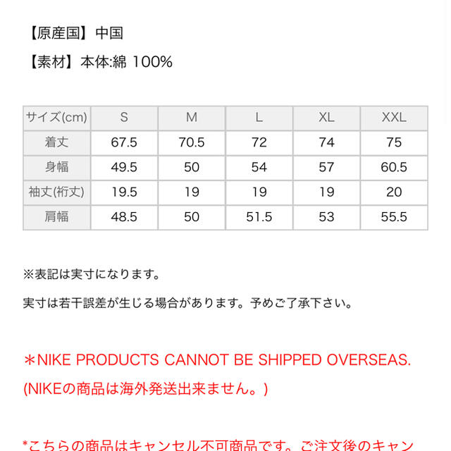 NIKE(ナイキ)のnike acg tシャツ L 青 メンズのトップス(Tシャツ/カットソー(半袖/袖なし))の商品写真