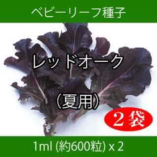 ベビーリーフ種子 B-03 レッドオーク（夏用） 1ml 約600粒 x 2袋(野菜)