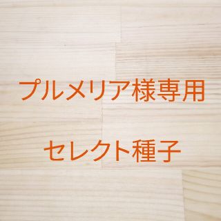 プルメリア様専用　セレクト種子　10袋(野菜)