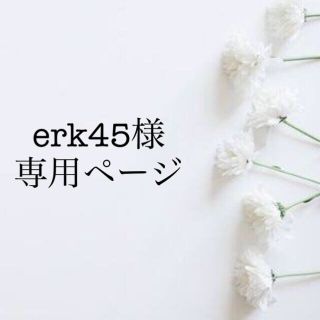 erk45様 専用ページ(その他)