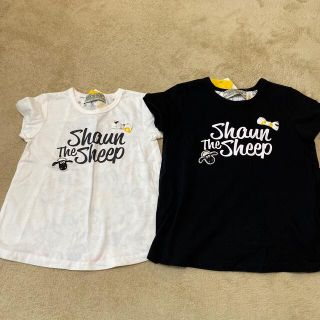 シマムラ(しまむら)のひつじのショーン　白のみ(Tシャツ/カットソー)