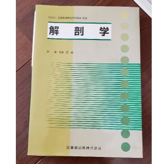 解剖学(文学/小説)