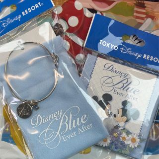 ディズニー(Disney)のディズニー❤︎Blue Ever Afterシリーズ　ブレスレット&チャーム(ブレスレット/バングル)