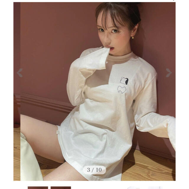 andmary メニーアニマルズtee レディースのトップス(Tシャツ(長袖/七分))の商品写真