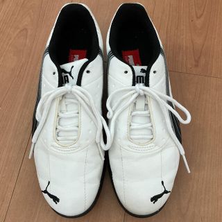 プーマ(PUMA)のゴルフシューズ(スニーカー)