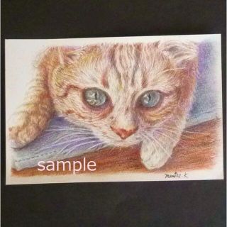 原画★猫 イラスト 色鉛筆 水彩 手描き 作品 ネコ ねこ インテリア(絵画/タペストリー)