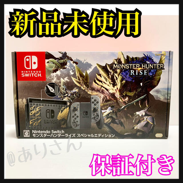 オイルペイント Nintendo Switch モンスターハンターライズ スペシャル