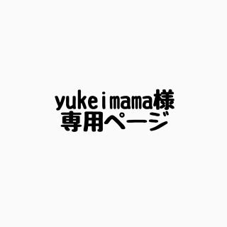 ニンテンドウ(任天堂)のyukeimama様専用ページ(その他)