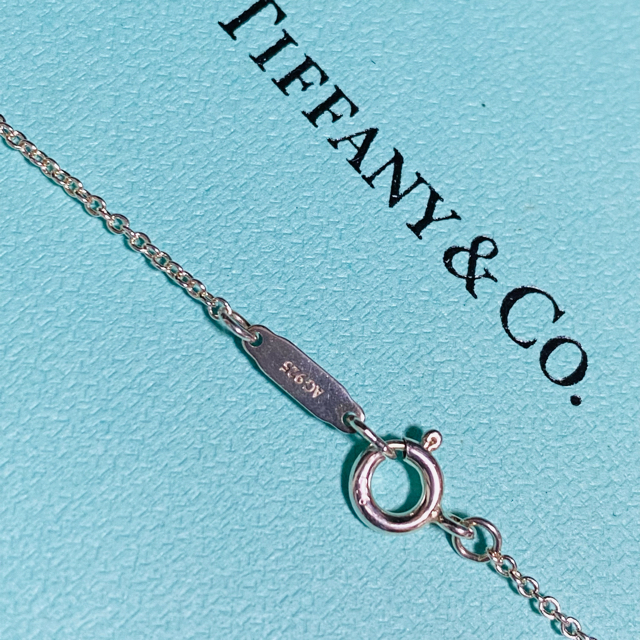 Tiffany & Co.(ティファニー)のティファニー Tiffany ネックレス 新品未使用 レディースのアクセサリー(ネックレス)の商品写真