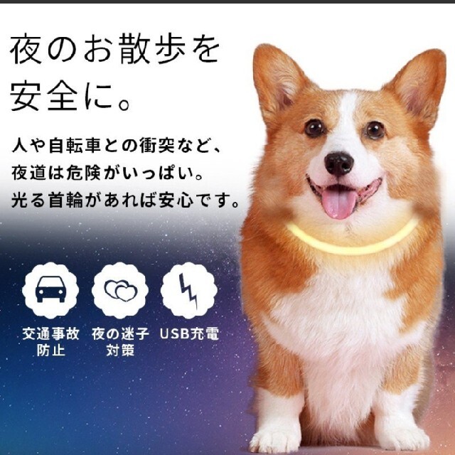 ☆新色追加☆光る首輪 犬猫用 ペット用 夜の散歩 LED 充電式 事故防止 ハンドメイドのペット(リード/首輪)の商品写真