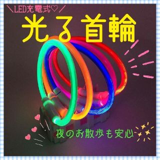 ☆新色追加☆光る首輪 犬猫用 ペット用 夜の散歩 LED 充電式 事故防止(リード/首輪)