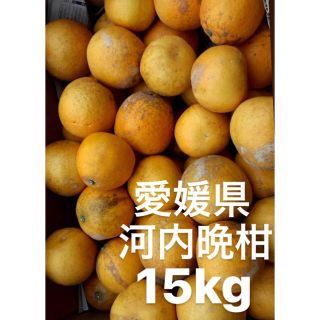 愛媛県　低農薬　宇和ゴールド　河内晩柑　15kg(フルーツ)