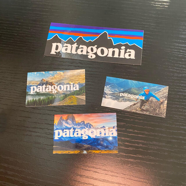 patagonia(パタゴニア)のPatagonia ステッカー 特別価格 ハンドメイドの文具/ステーショナリー(しおり/ステッカー)の商品写真