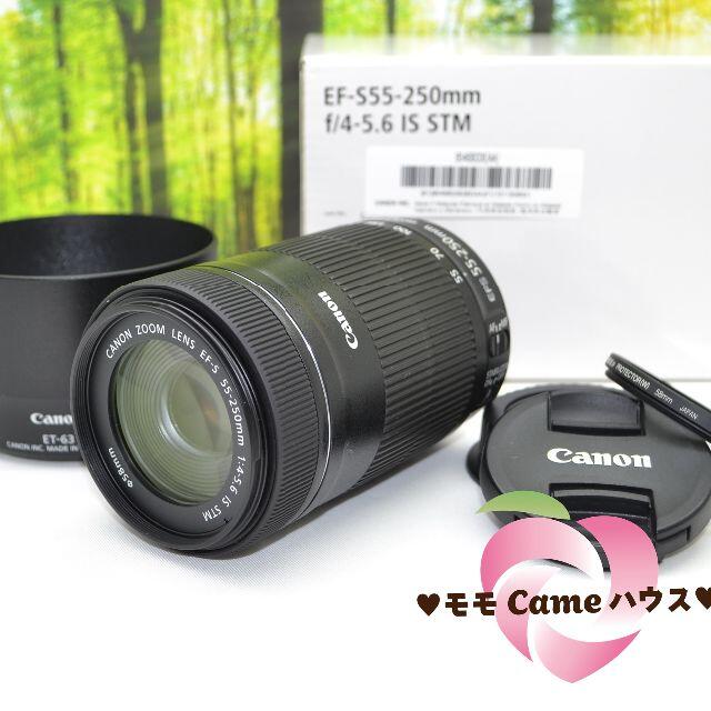 キヤノン EF-S 55-250㎜ IS STM☆新型望遠レンズ☆1644-1 | kensysgas.com