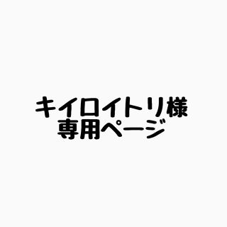 ニンテンドウ(任天堂)のキイロイトリ様専用ページ(その他)