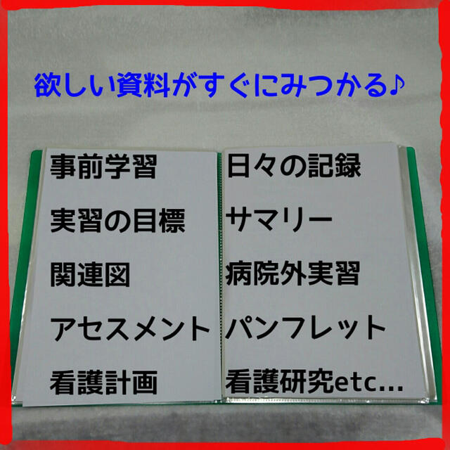 usb⛔️超増量版⛔️看護実習✨お役立ち資料(看護過程)