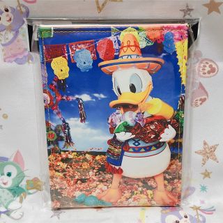 ドナルドダック(ドナルドダック)の東京ディズニーランド☆イマジニングザマジック☆ミラー(その他)