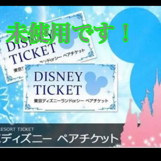 ディズニーチケット ペア ディズニーランド ディズニーシー チケット 大人2枚