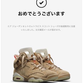 ナイキ(NIKE)のNIKE Travis Scott AIR JORDAN 6 RETRO SP(スニーカー)