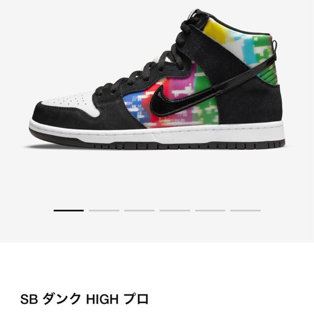 NIKE DUNK TEST PATTERN 28cm