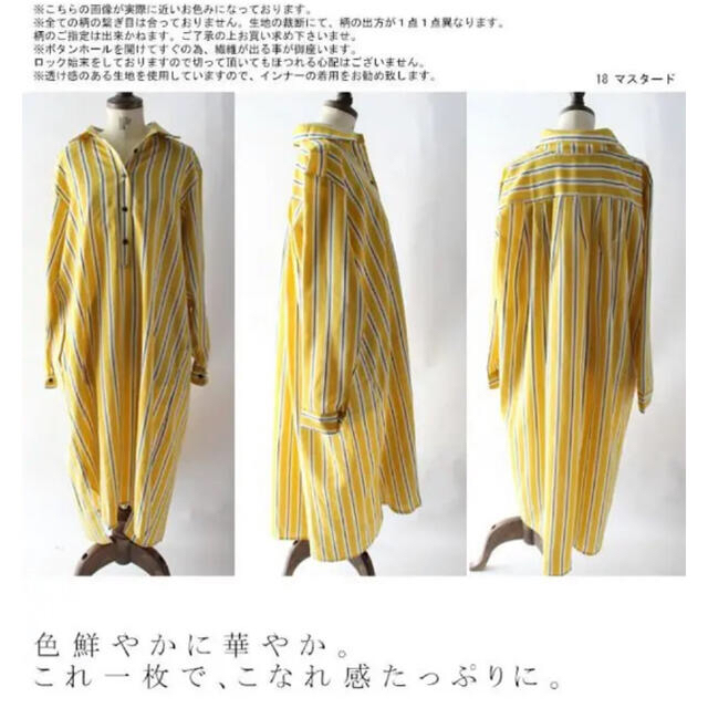 antiqua(アンティカ)のアンティカ  ロングシャツ レディースのトップス(シャツ/ブラウス(長袖/七分))の商品写真