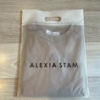 アリシアスタン(ALEXIA STAM)のalexiastam アリシアスタン　ロゴTシャツ　モカ❤︎水着　バッグ(Tシャツ(半袖/袖なし))