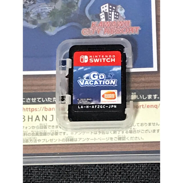 Nintendo Switch(ニンテンドースイッチ)のGO VACATION(Switchソフト) エンタメ/ホビーのゲームソフト/ゲーム機本体(家庭用ゲームソフト)の商品写真